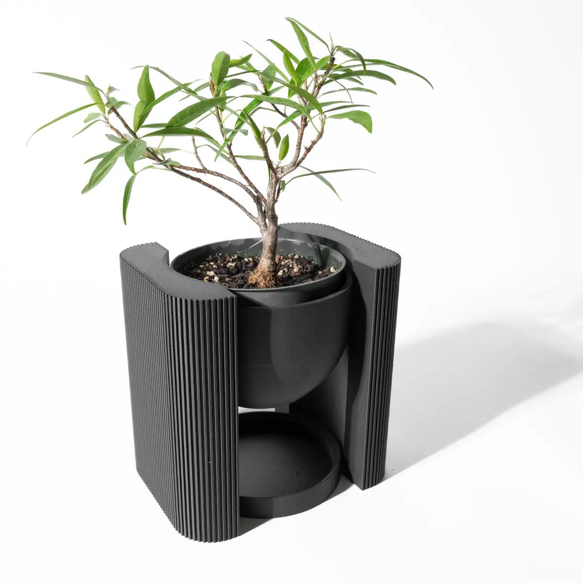 Canopy Planter