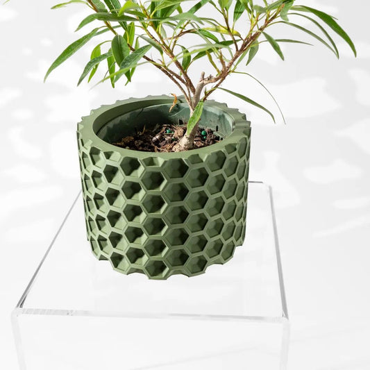 Honeycomb Planter