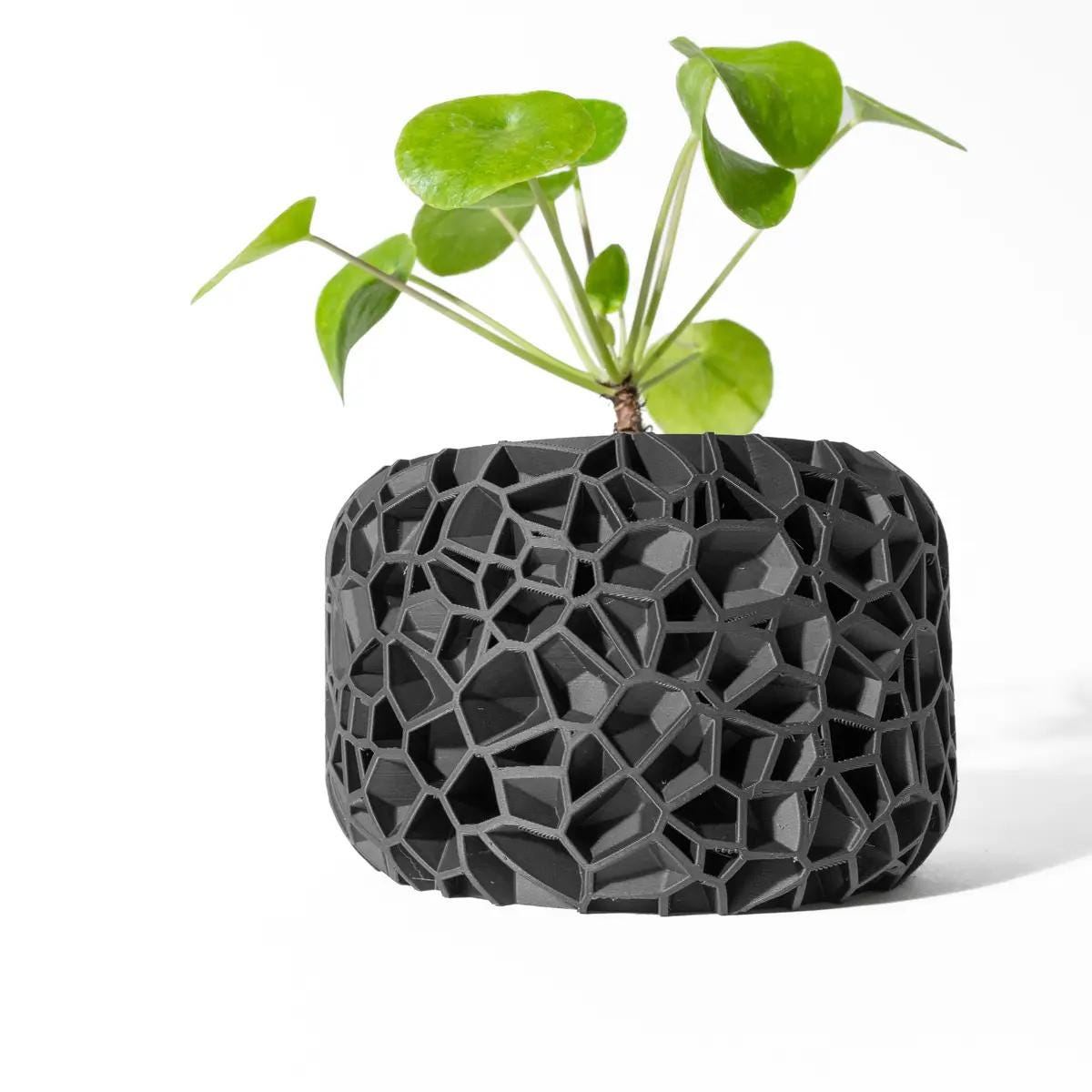 Vori- Modern 3D Printed Planter  Minimalist Indoor Plant Pot for Succulents, Cacti, and Small Plants  Unique Home Décor Gift, 4 6 8 inch