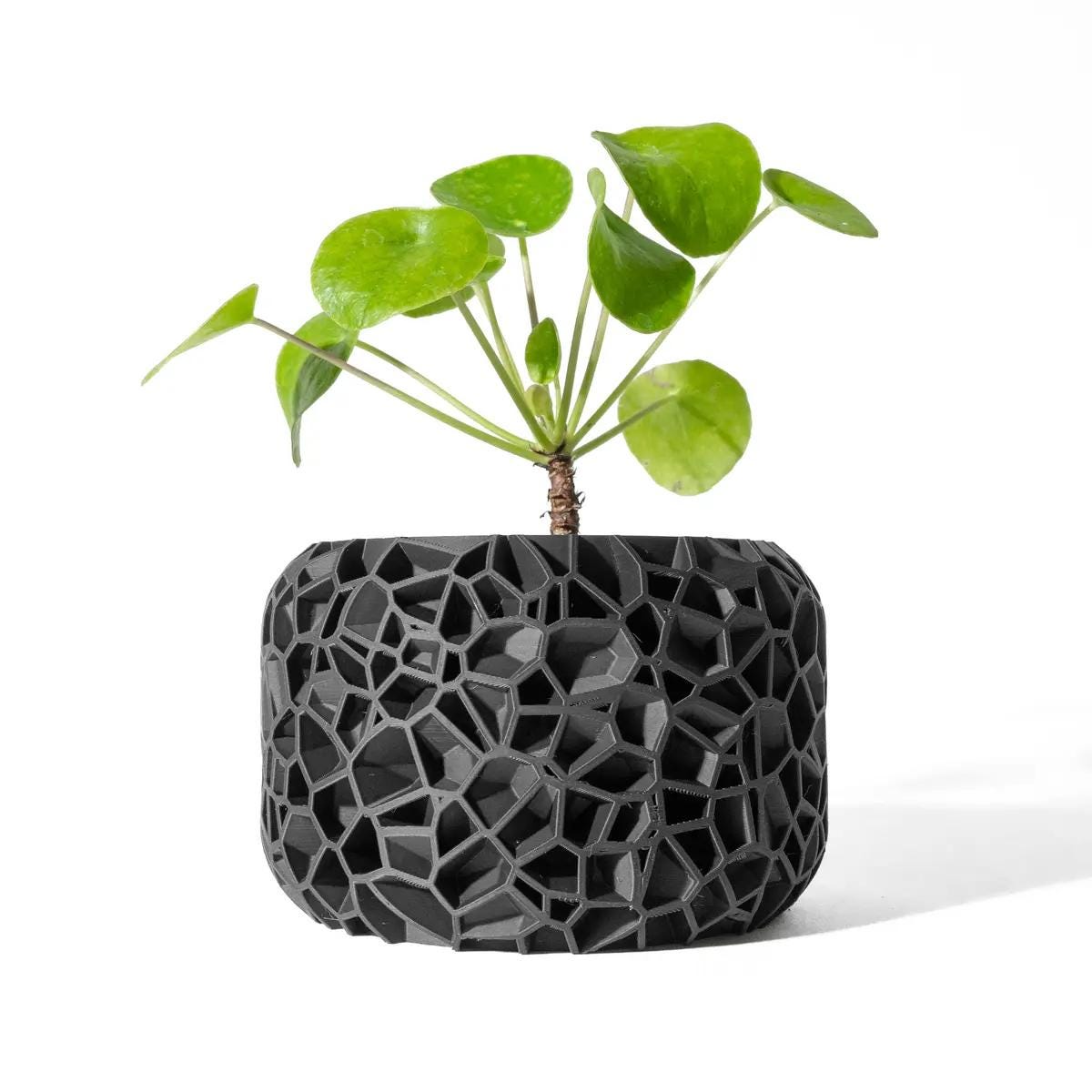 Vori- Modern 3D Printed Planter  Minimalist Indoor Plant Pot for Succulents, Cacti, and Small Plants  Unique Home Décor Gift, 4 6 8 inch