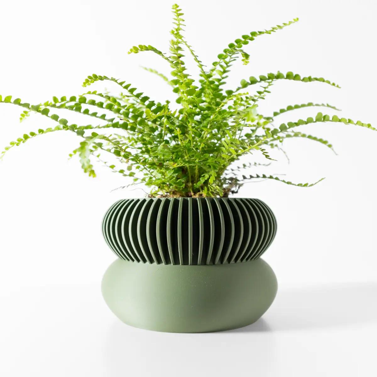 Elomi- Modern 3D Printed Planter  Minimalist Indoor Plant Pot for Succulents, Cacti | Small Plants  Unique Home Décor Gift, 4 5 6" Bubble