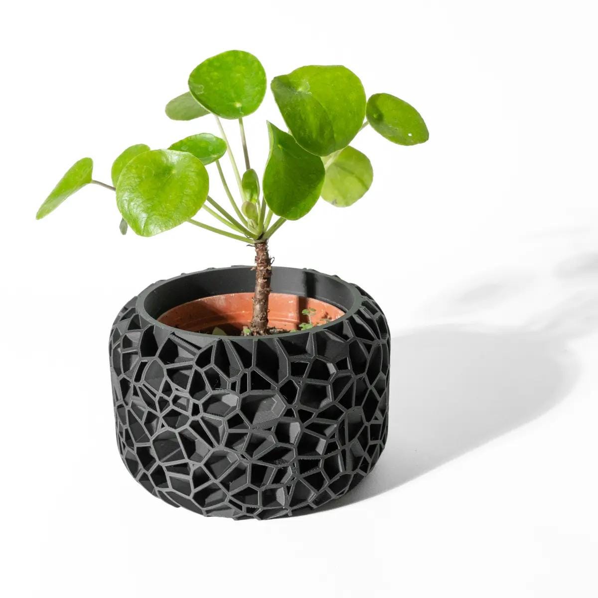 Vori- Modern 3D Printed Planter  Minimalist Indoor Plant Pot for Succulents, Cacti, and Small Plants  Unique Home Décor Gift, 4 6 8 inch