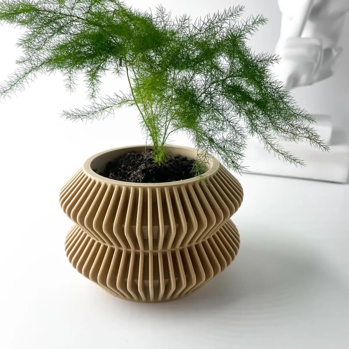 Rodel- Modern 3D Printed Planter  Minimalist Indoor Plant Pot for Succulents, Cacti, and Small Plants  Unique Home Décor Gift, 4 5 6 inch