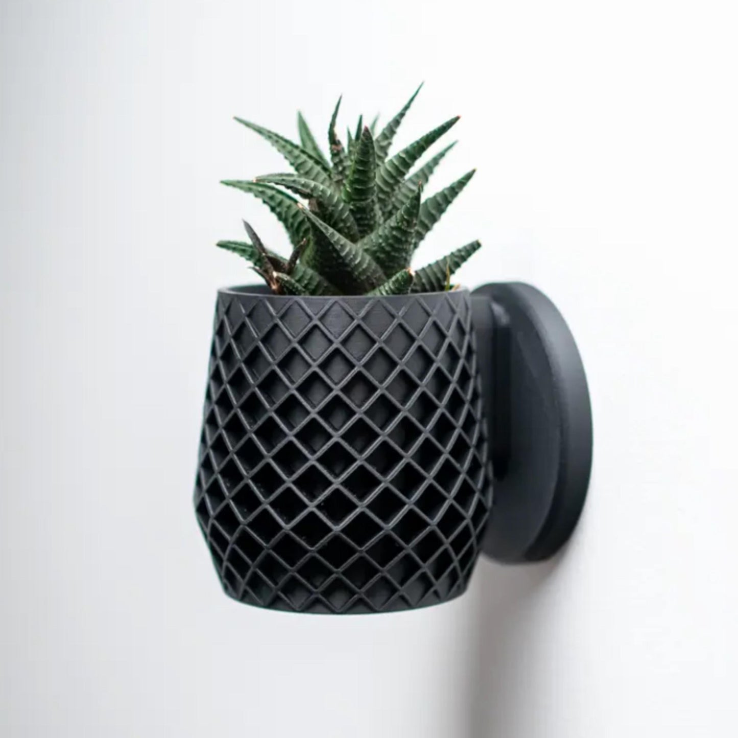 Elegant Wall Mounted Planter - Minimalist Hanging Planter for Indoor Plants | Stylish Vertical Garden Home Decor Gift Cacti| Succulent