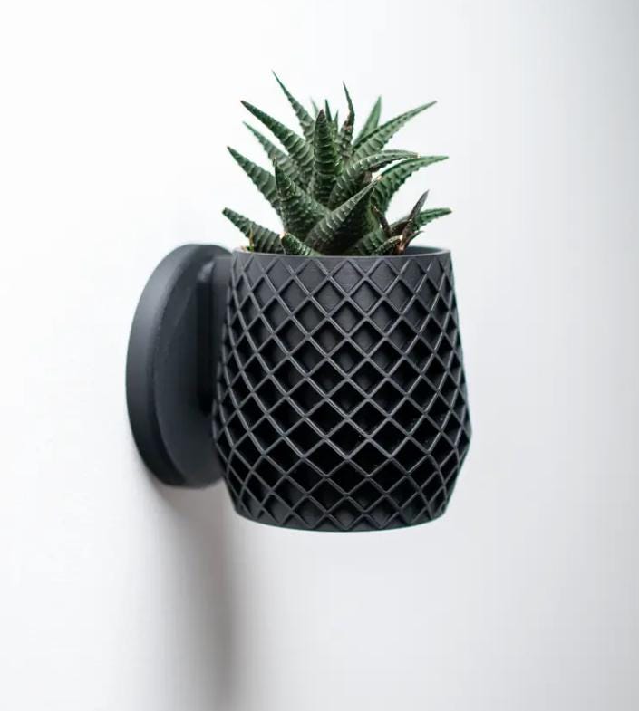 Elegant Wall Mounted Planter - Minimalist Hanging Planter for Indoor Plants | Stylish Vertical Garden Home Decor Gift Cacti| Succulent