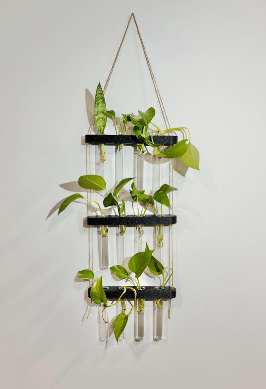 Wall Hanging Propagation Station | 3-Tier | 12 colors | Home Office Decor Hydroponic Cuttings Sustainable Test Tube Minimalist  decor